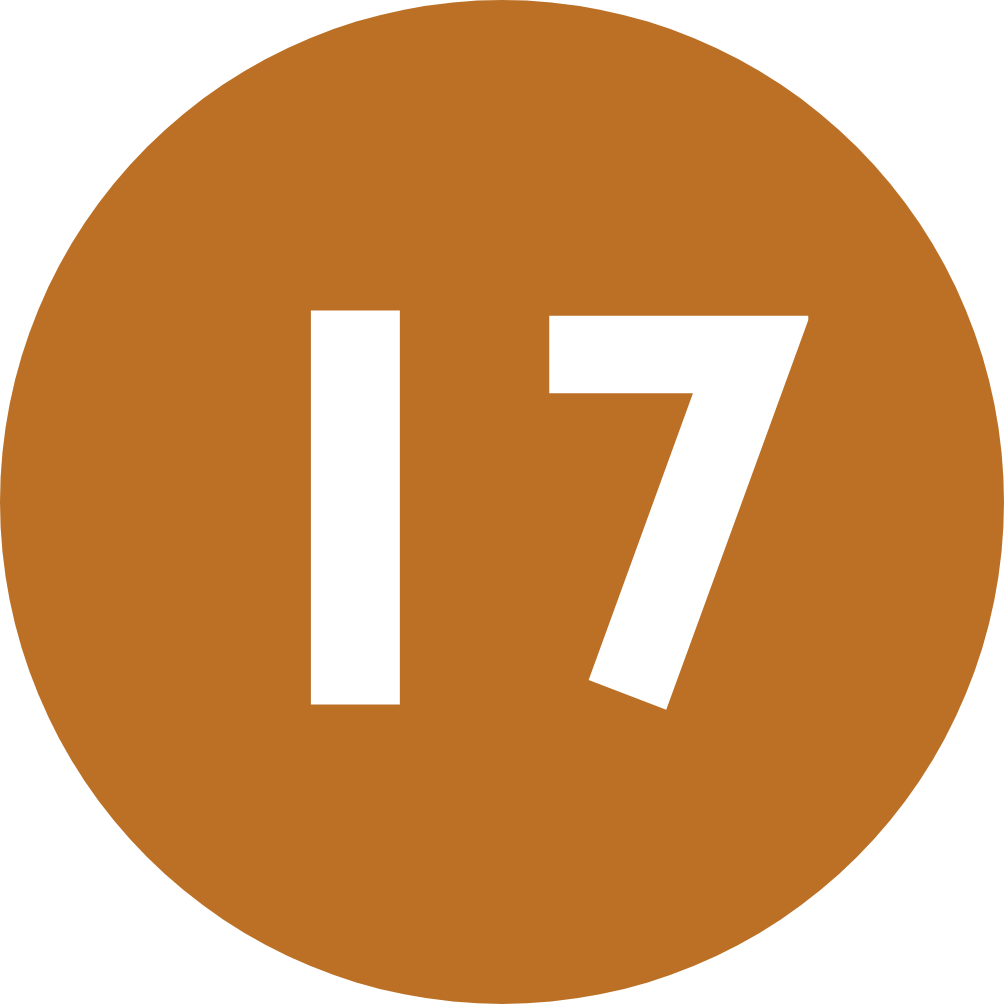 17