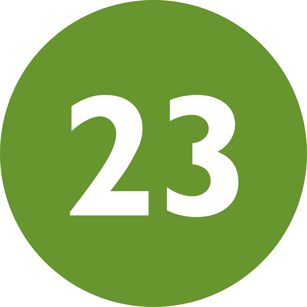 23