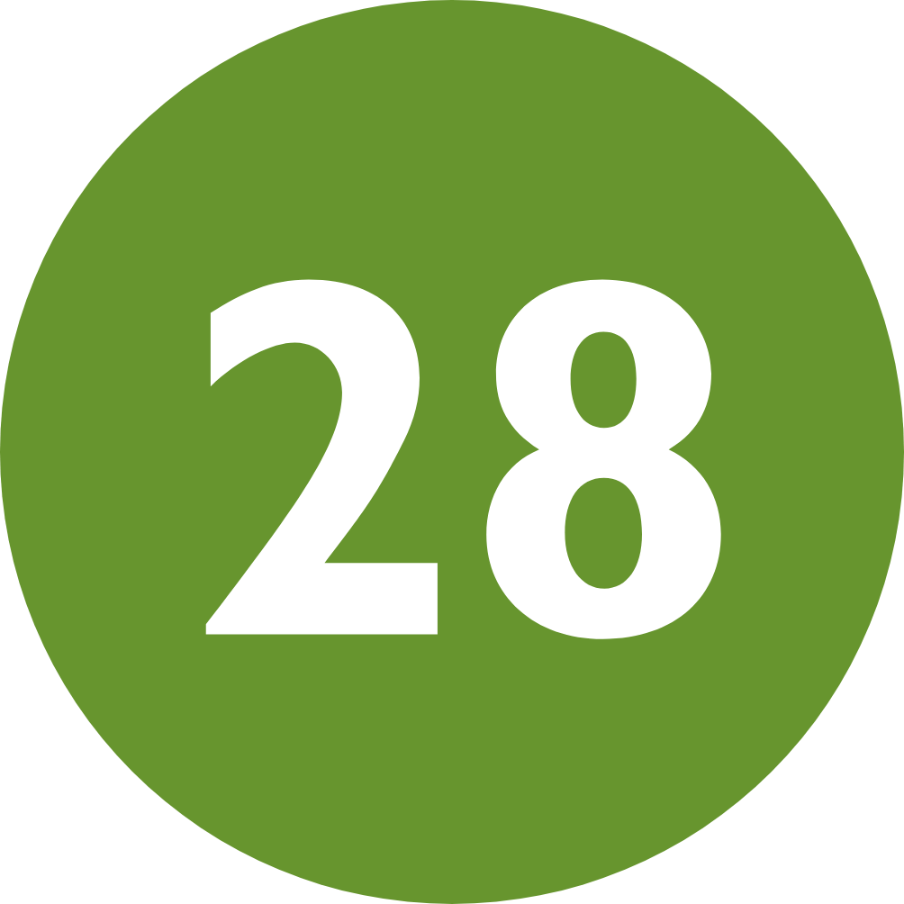 28