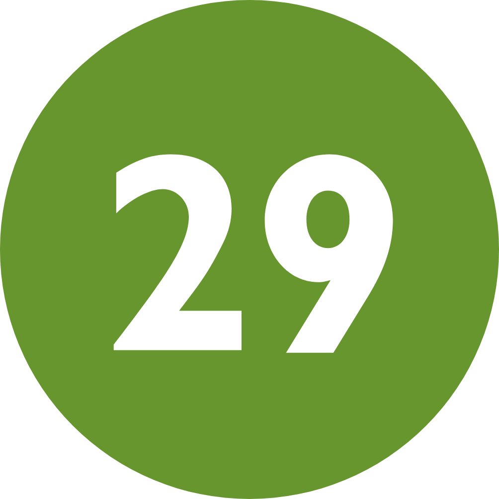 29