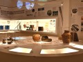 Exposição 